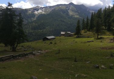 Excursión Senderismo Puy-Saint-Vincent - Psv 1800 vers les Tournoux et le lac des Charbonnières - Photo