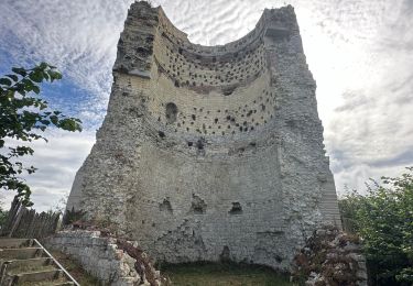 Randonnée Marche Saint-Trond - Les ruines de la tour du château-fort de Brustem - Photo