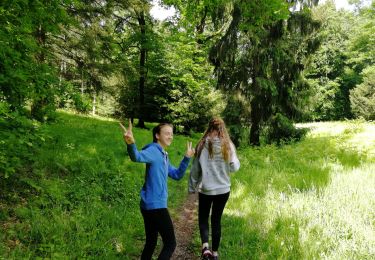 Excursión Senderismo Esneux - Esneux bois du mary - Photo
