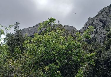 Excursión Senderismo Aureille - Tour des Opies retour les Barres rouges - Photo