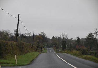 Percorso A piedi Ballinamore Municipal District - Crummy Loop - Photo