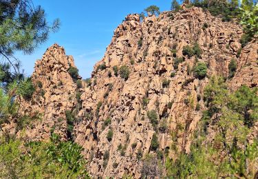 Tocht Stappen Piana - tour des châtaigniers de palani - Photo