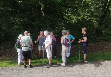 Tocht Stappen Golbey - Auchan  - Photo