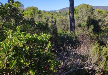 Trail Walking Saint-Raphaël - z ldt les crottes 27-10-20 - Photo