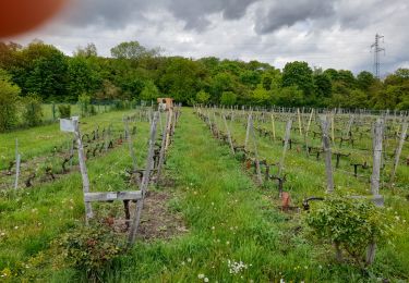 Tocht Stappen Coubron - Coteaux de l'Aulnoye - Photo