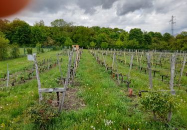 Excursión Senderismo Coubron - Coteaux de l'Aulnoye - Photo