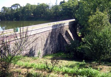 Randonnée A pied Joué-sur-Erdre - La Rigole Alimentaire - Du Lac de Vioreau au Canal de Nantes à Brest - Photo