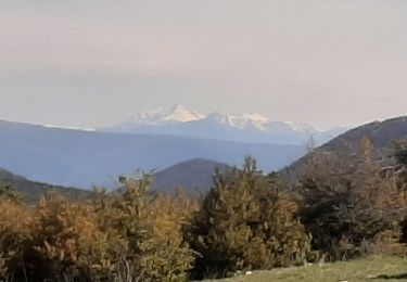 Trail Walking Montauban-sur-l'Ouvèze - LABOREL 26 , COL DE PERTY. MONTAGNE DE CHAMOUSE O m s   - Photo