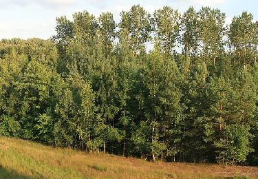 Randonnée A pied Gangelt - DE-Großer Rundweg - Photo