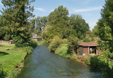 Tour Wandern Douvrend - autour de douvrend - Photo