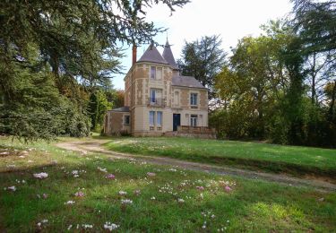 Tour Wandern Saint-Georges-sur-Cher - Saint-Georges-sur-Cher - Faverolles-sur-Cher-13.8km 130m 2h55-2019 03 03 - Photo