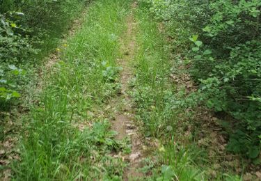 Tocht Stappen Bourg-Saint-Andéol - Maison forestière  - Photo