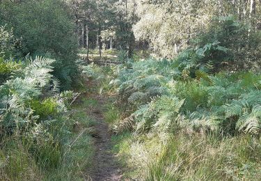 Tocht Stappen Eupen - Fagne frontiere - Photo