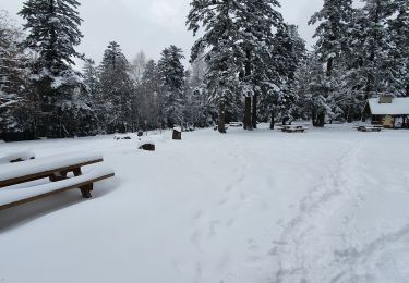 Randonnée Marche Dabo - col de la schlief - Photo