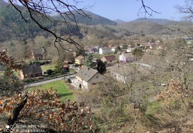 Trail Walking Willer-sur-Thur - Willer sur Thur - Photo