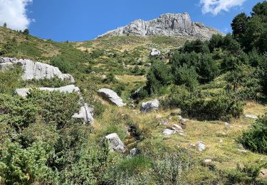 Excursión A pie Aísa - Ruta del Puerto de Aísa - Photo