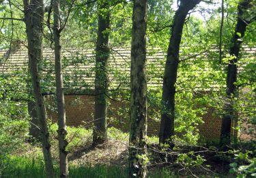 Randonnée A pied Zonhoven - Wijvenheide Oranje bol - Photo