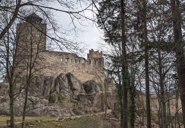 Percorso Marcia Dambach-la-Ville - suuntoapp-Hiking-2023-12-26T08-42-47Z - Photo