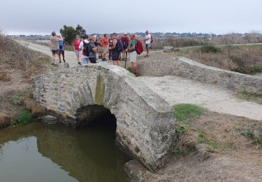 Trail Walking L'Épine - mer marais  - Photo