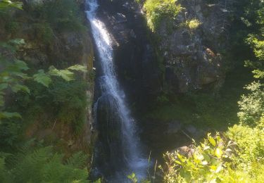 Randonnée Trail Albepierre-Bredons - Une partie des crêtes vers le Plomb du Cantal  - Photo