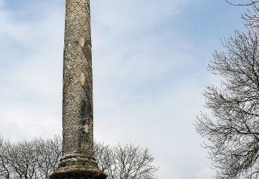 Trail On foot Cussy-la-Colonne - Entre Colonne et Moulin - Photo