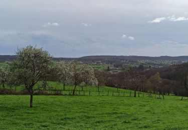 Randonnée Marche Fougerolles-Saint-Valbert - 1-04-24 Ramouse - Pierres de rouges - le Bout - Photo