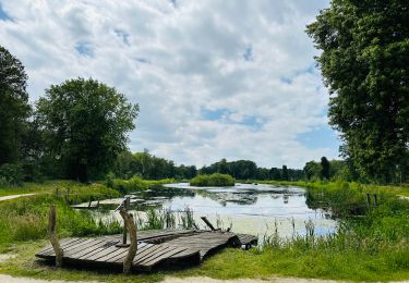 Trail Walking Hamont-Achel - de-groote-heide-warmbeek-instapplaats-domein-de-bever-thema - Photo