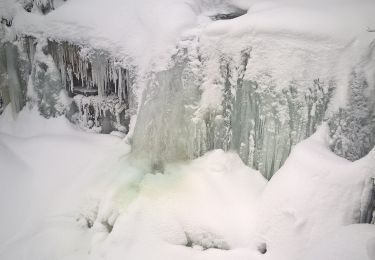 Excursión A pie Jiřetín pod Bukovou - žlutá: Pod Bukovou - Jiřetín pod Bukovou - Photo