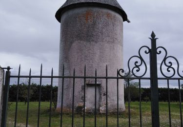 Tocht Stappen Ludon-Médoc - Ludon Médoc  - Photo