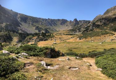 Randonnée Marche Mosset - 20210827 Col de Jau-Bernard sauvage-Madrés - Photo