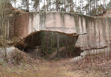 Tour Zu Fuß Georgensgmünd - Steinbruchweg Georgensgmünd - Photo