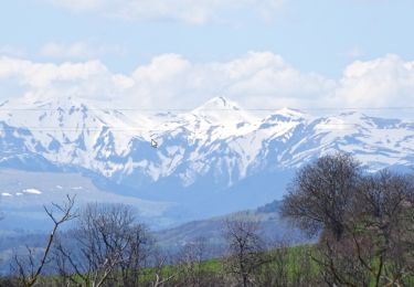 Tour Wandern Saint-Julien-de-Coppel - st julien - Photo