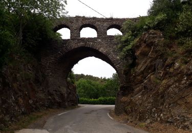 Tocht Stappen Les Plantiers - vallée Borgne - Photo