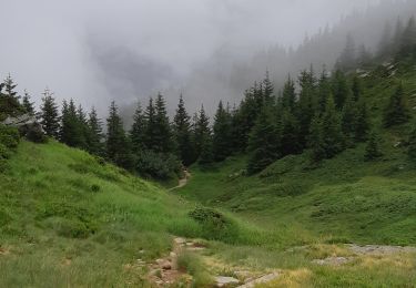 Tour Wandern Les Contamines-Montjoie - nant borrant chalet de miage - Photo