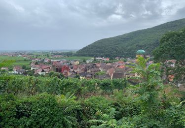 Tocht Stappen Kaysersberg-Vignoble - Kaysersberg randonnée  - Photo