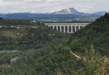 Randonnée V.T.T. Velaux - tour velaux a roquefavour puis plateau vitrolles - Photo