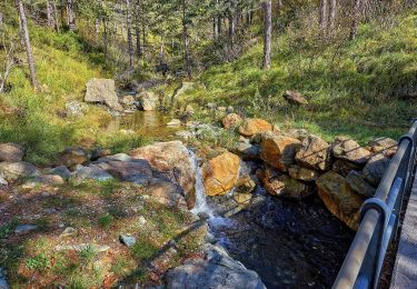 Tour Zu Fuß Campomorone - Sentiero naturalistico dei Laghi del Gorzente - Photo