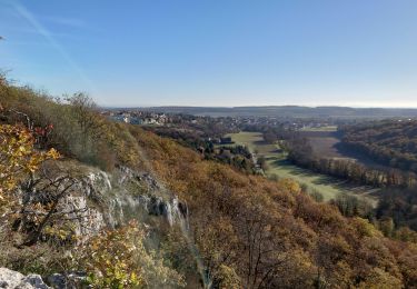 Tour Wandern Messigny-et-Vantoux - MESSIGNY ; Roche-Château (09-11-2021) - Photo