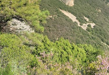 Randonnée Marche Saint-Guilhem-le-Désert - st guilhem - Photo