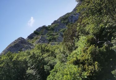 Randonnée Marche Plan-d'Aups-Sainte-Baume - ste baume pas de l ail par jouc de l aigle - Photo