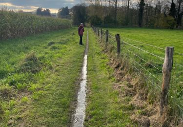 Tour Wandern Beauvechain - Hamme Mille - Photo