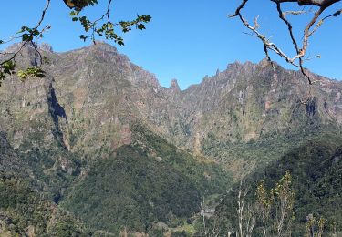 Trail Walking São Roque do Faial - Balcoes  - Photo