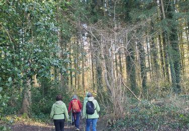 Percorso Camminata nordica Plombières - Moresnet_10 Kms - Photo