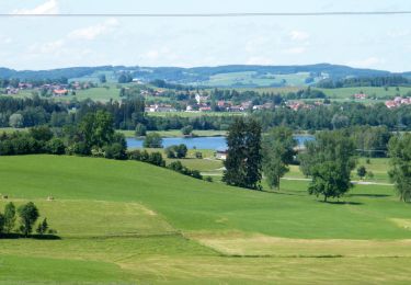 Excursión A pie Sulzberg - Rundwanderweg Sulzberg 1 - Photo