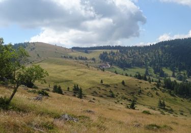 Randonnée Marche Sondernach - 2022-07-10 Boucle et sommet du Petit Ballon  - Photo