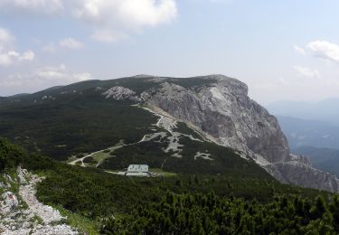 Tocht Te voet Gemeinde Reichenau an der Rax - Gaislochboden - Dirnbacherhütte - Seehütte - Photo