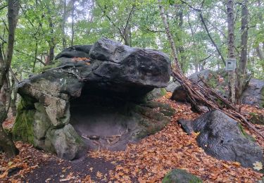Trail Walking Ballancourt-sur-Essonne - Boucle autour de Ballancourt - Photo