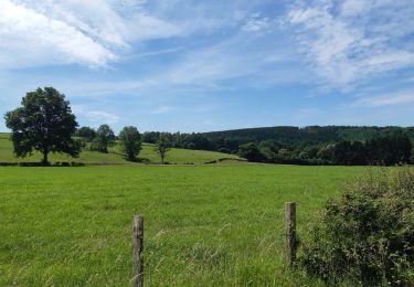 Tocht Stappen Jalhay - royonpré . lew 7 frères.  retour - Photo