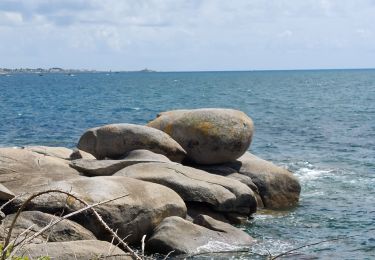 Excursión Senderismo Trégunc - pointe de la Jument  - Photo