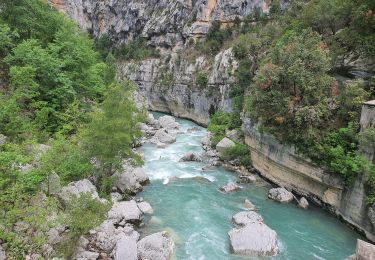 Tour Wandern Rougon - GR4 Jour 8 Rougon - Les Cavaliers 24-05-2021 - Photo